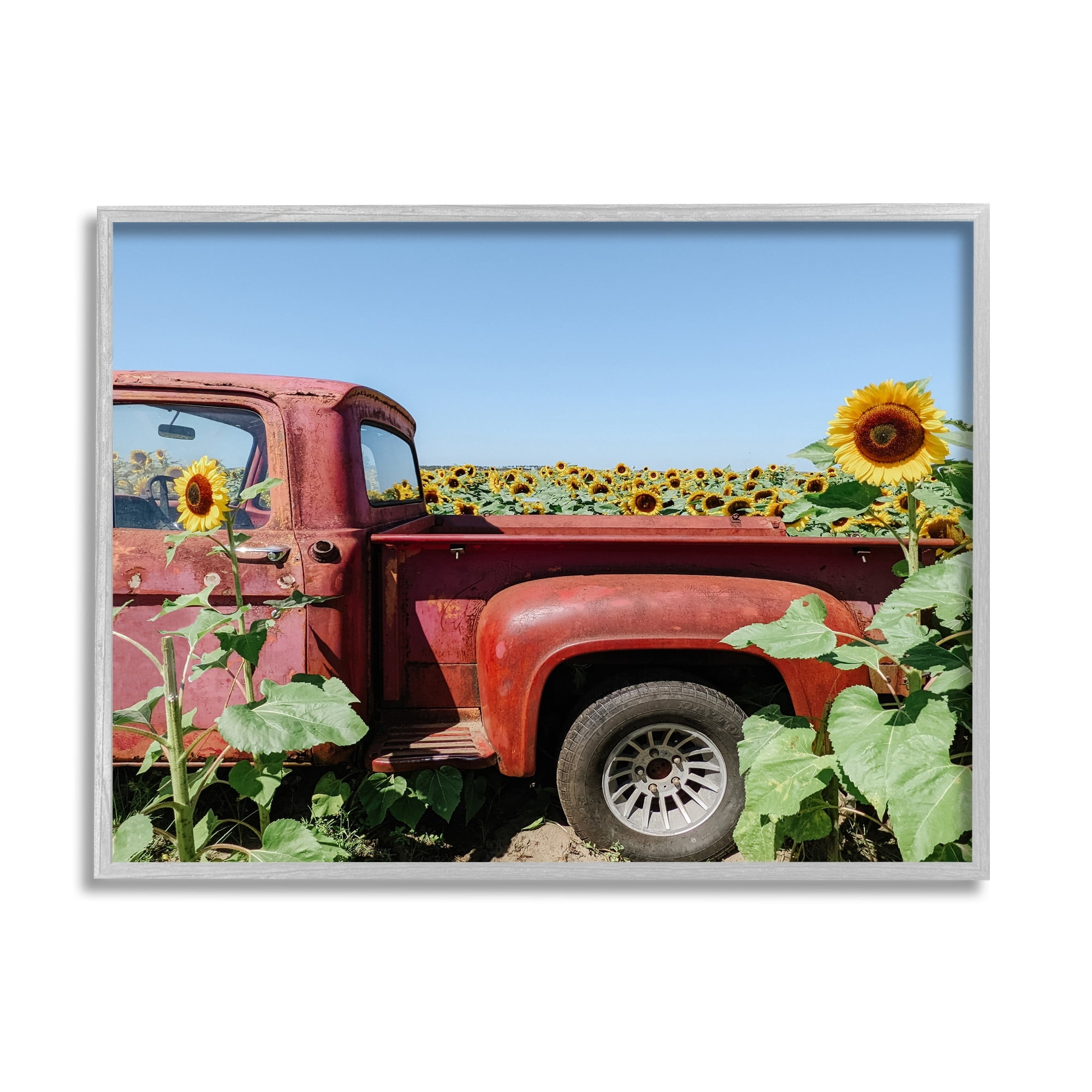 Stupell Industries Red Vintage Pickup Truck Amidst Sunflower Field Photograph Gray Framed Art Print Wall Art, Design by Kali Wilson