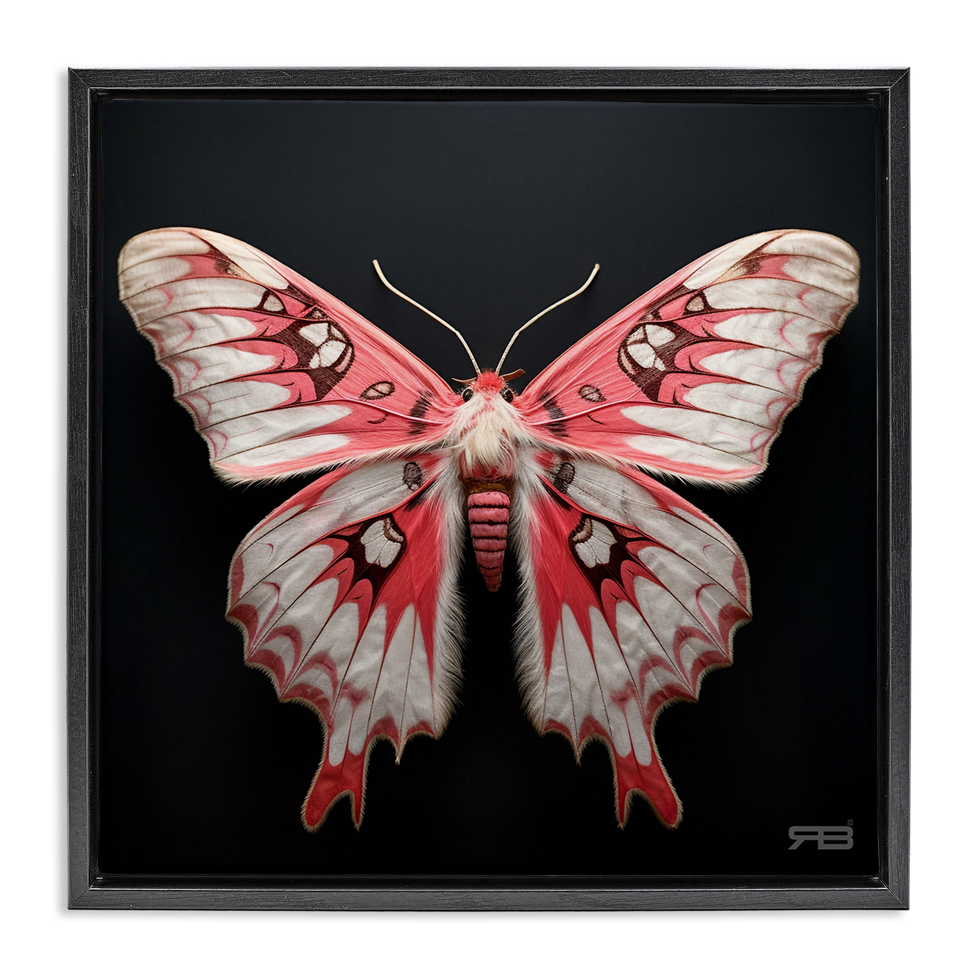 Stupell Industries Red & White Moth Animals & Insects Painting Black Floater Framed Canvas Art Print Wall Art, 18 x 18