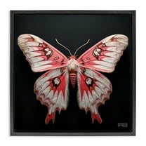 Stupell Industries Red & White Moth Animals & Insects Painting Black Floater Framed Canvas Art Print Wall Art, 18 x 18
