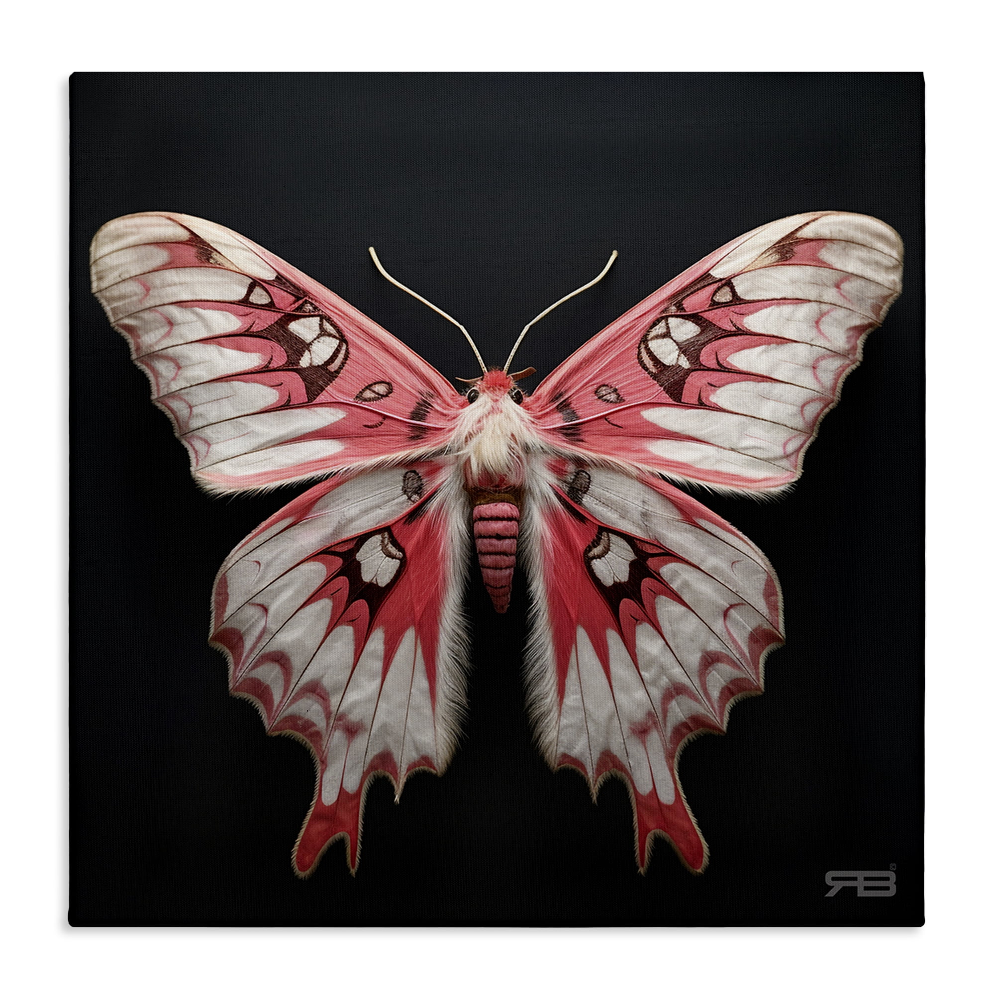 Stupell Industries Red & White Moth Animals & Insects Painting Gallery Wrapped Canvas Art Print Wall Art, 17 x 17