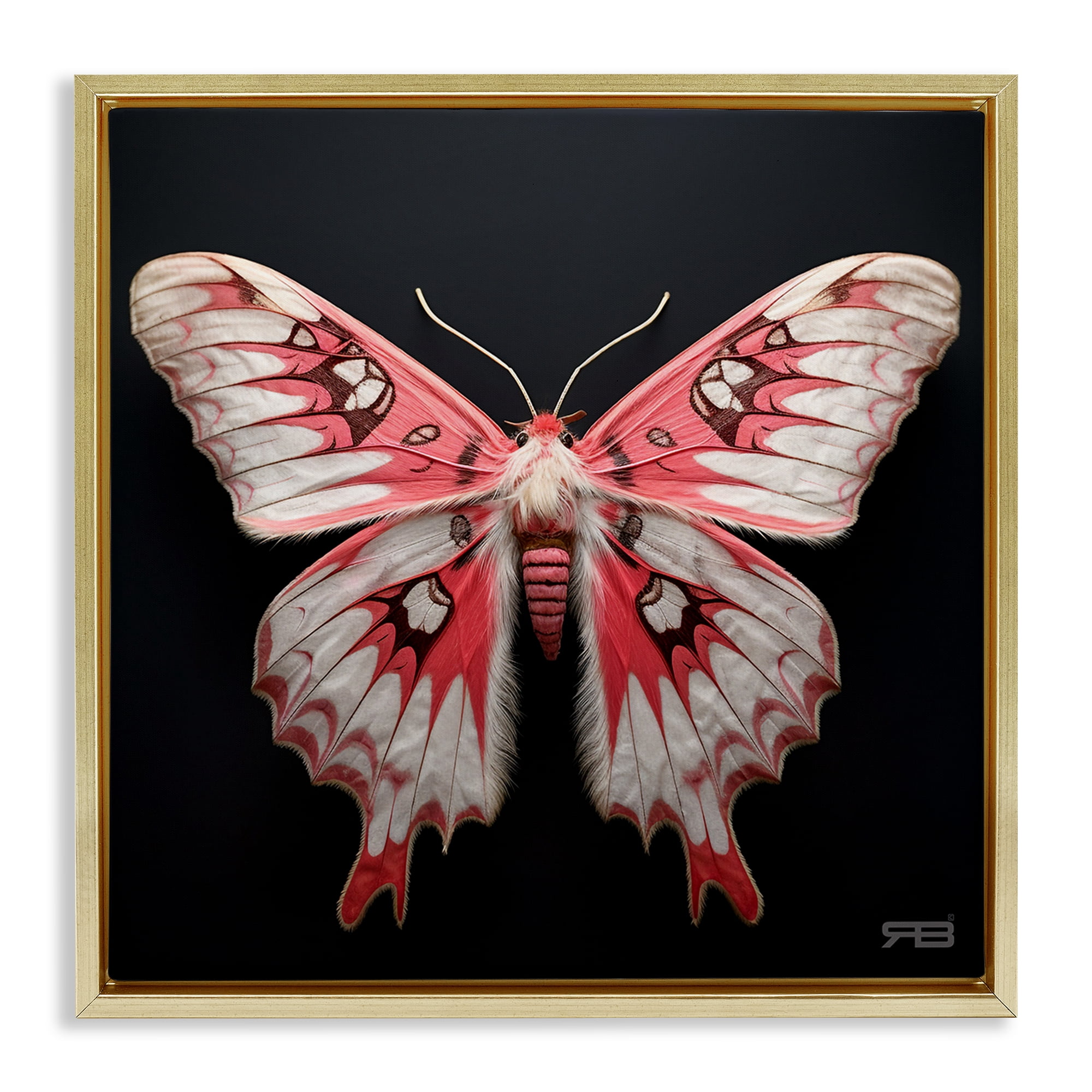 Stupell Industries Red & White Moth Animals & Insects Painting Gold Floater Framed Canvas Art Print Wall Art, 25 x 25