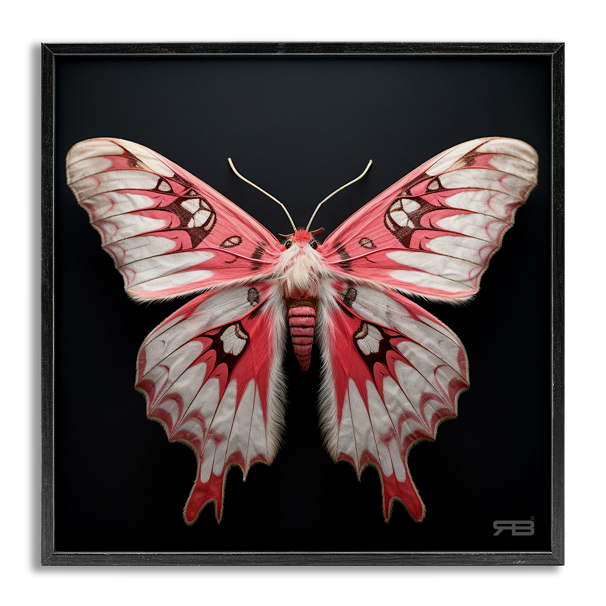 Stupell Industries Red & White Moth Animals & Insects Painting Gray Framed Art Print Wall Art, 17 x 17