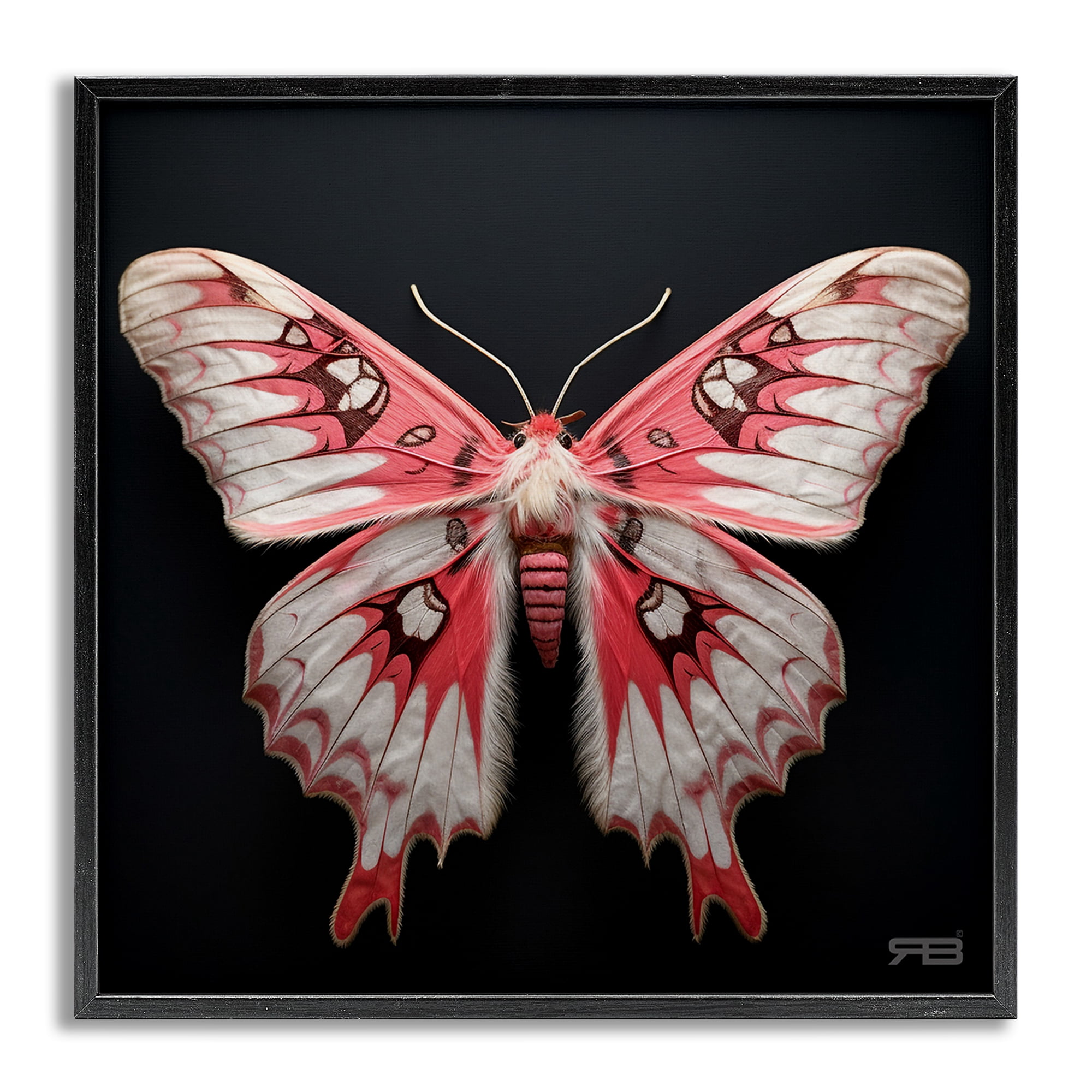 Stupell Industries Red & White Moth Animals & Insects Painting Gray Framed Art Print Wall Art, 24 x 24