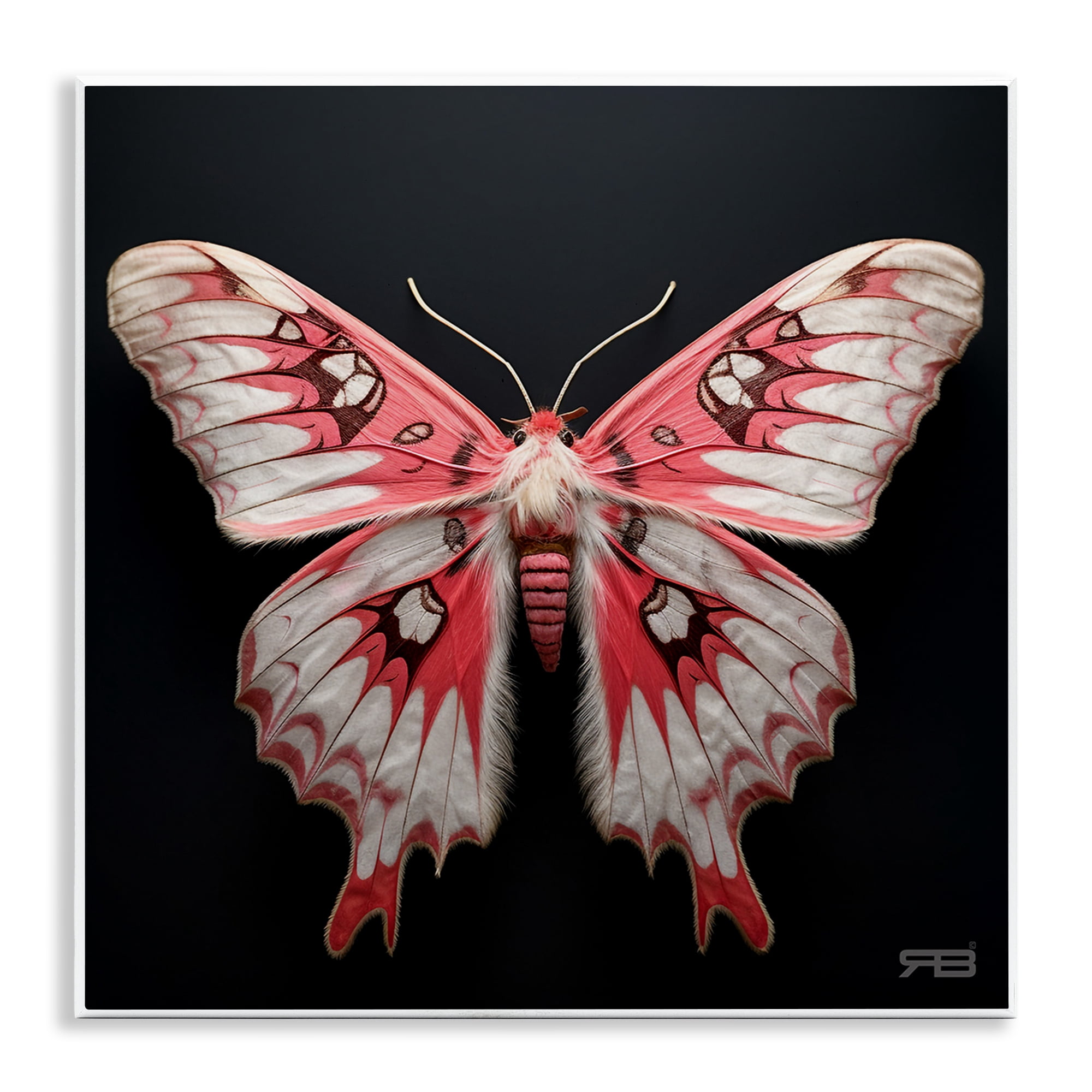 Stupell Industries Red & White Moth Animals & Insects Painting Unframed Art Print Wall Art, 12 x 12