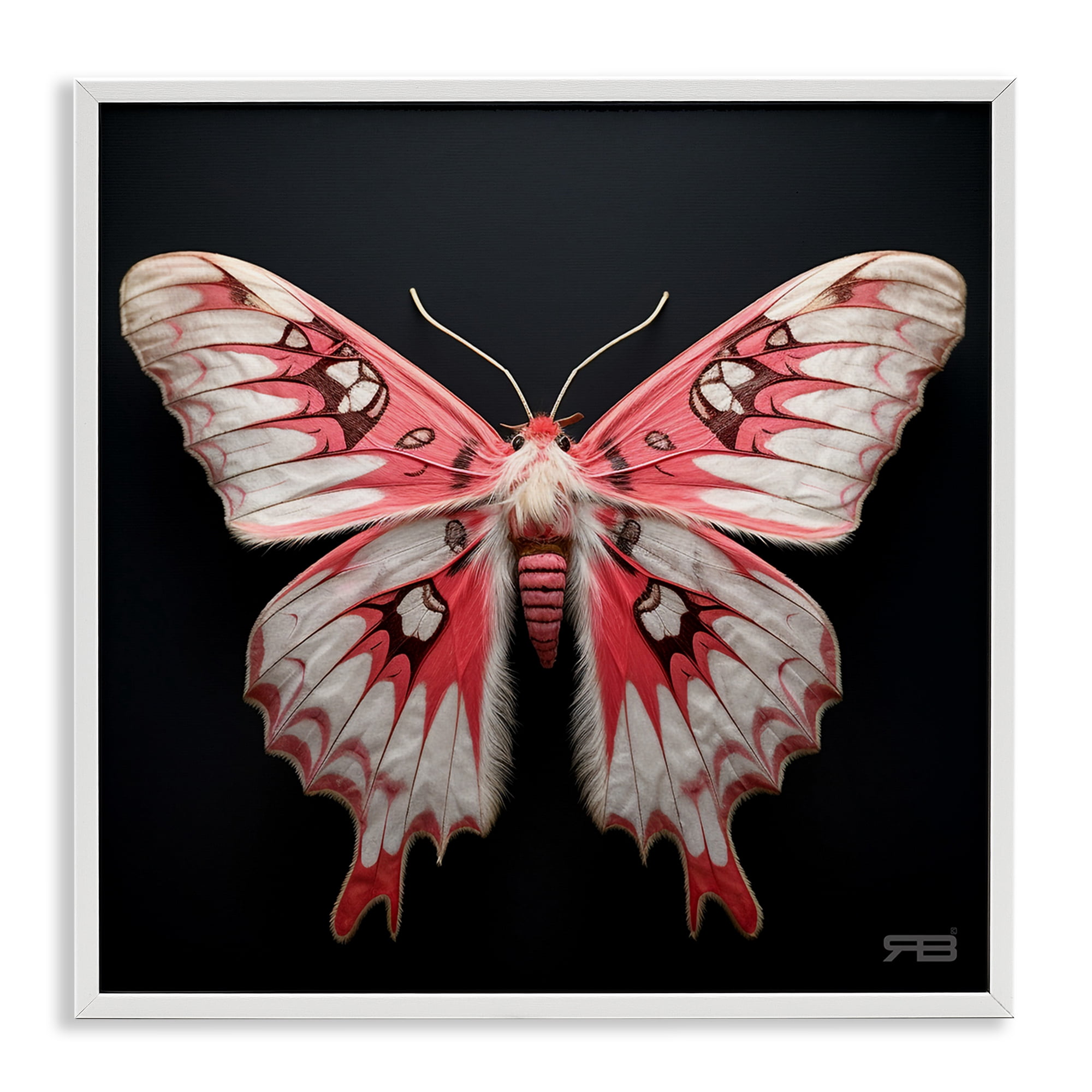 Stupell Industries Red & White Moth Animals & Insects Painting White Framed Art Print Wall Art, 24 x 24