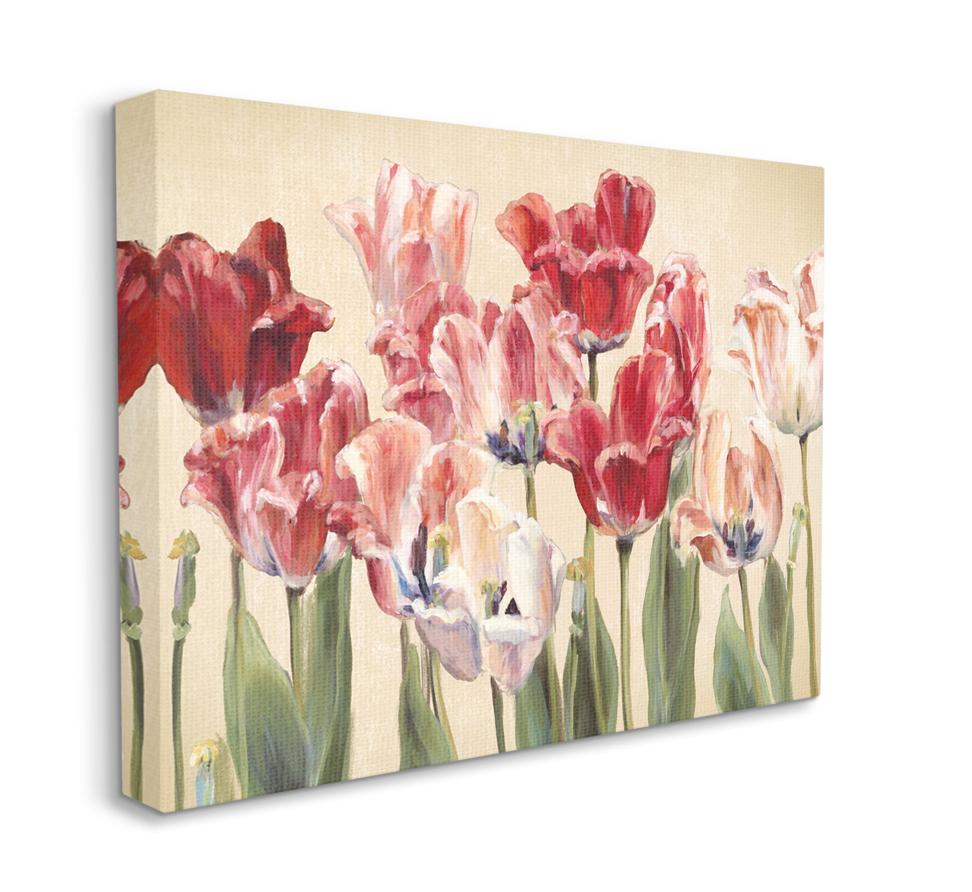 Stupell Industries Red and White Blooming Florals Charming Tulips Canvas Wall Art, 16 x 20, Design by Marilyn Hageman