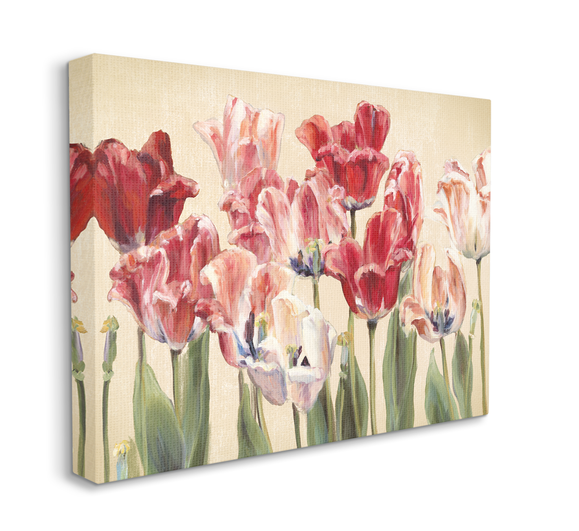 Stupell Industries Red and White Blooming Florals Charming Tulips Canvas Wall Art, 30 x 40, Design by Marilyn Hageman
