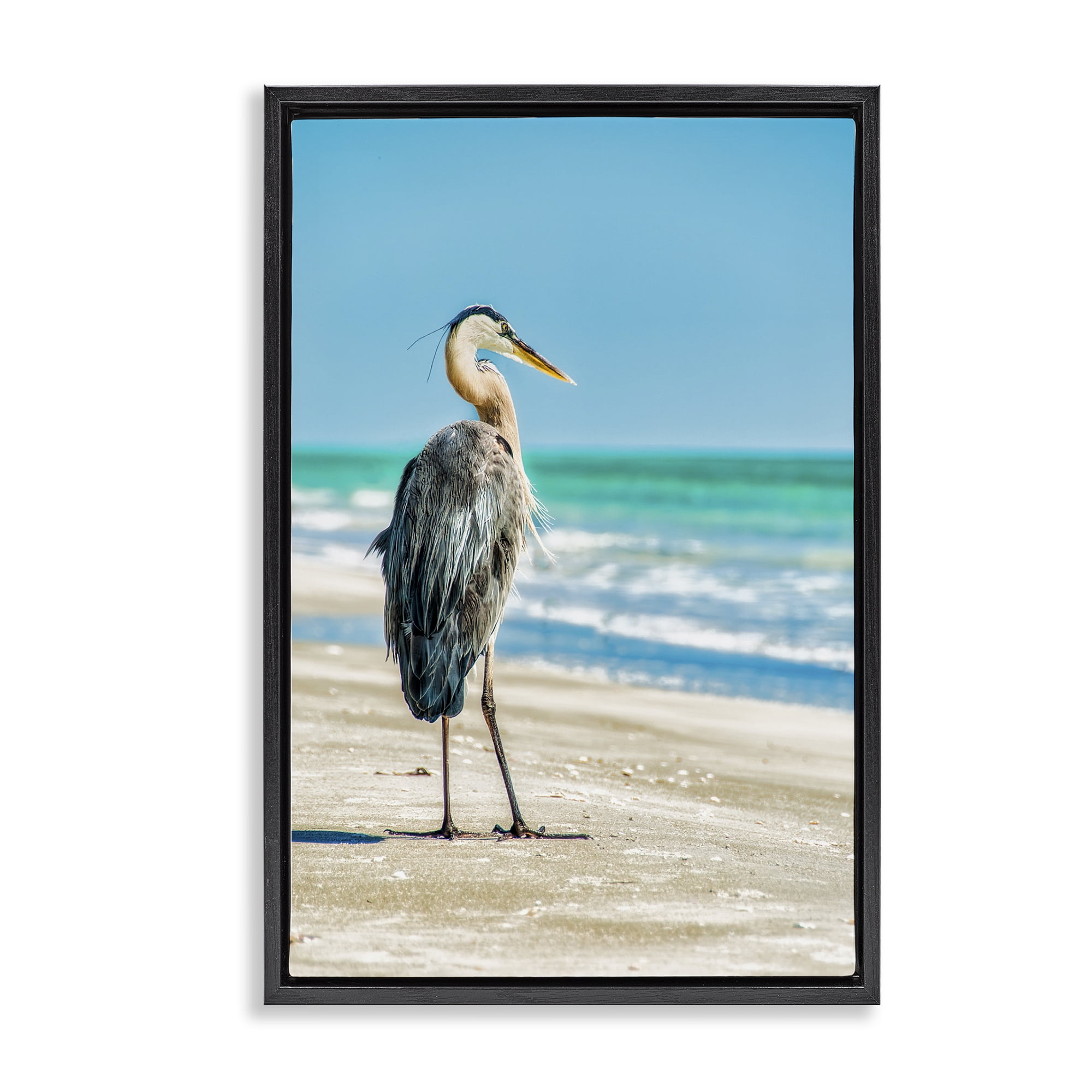 Stupell Industries Reflective Beach Bird Nautical & Beach Photography Black Floater Framed Canvas Art Print Wall Art, 21 x 31