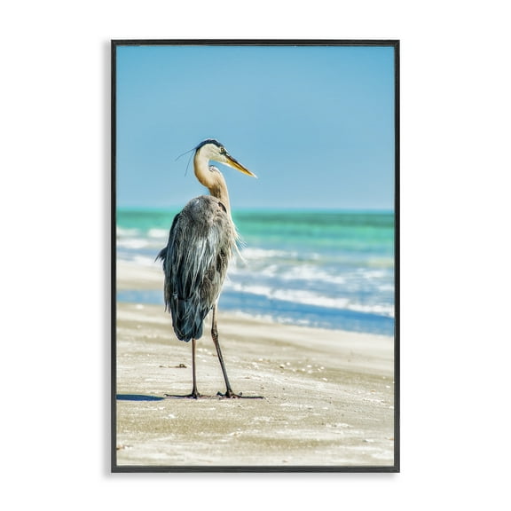 Stupell Industries Reflective Beach Bird Nautical & Beach Photography Black Framed Art Print Wall Art, 12 x 18
