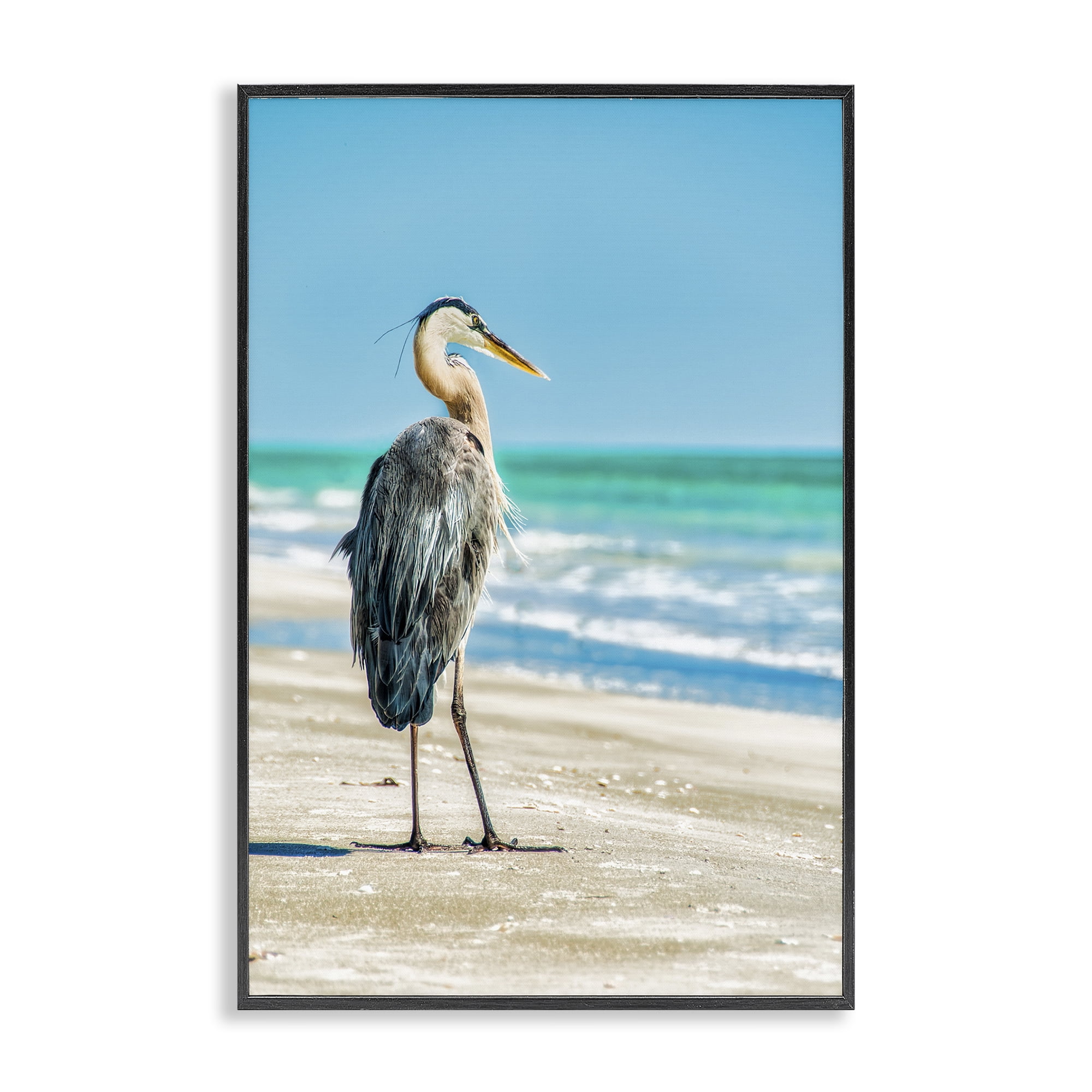 Stupell Industries Reflective Beach Bird Nautical & Beach Photography Black Framed Art Print Wall Art, 16 x 24