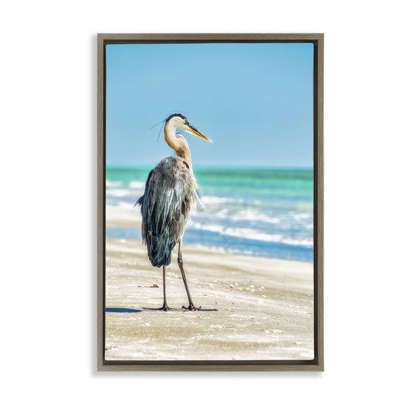 Stupell Industries Reflective Beach Bird Nautical & Beach Photography Brown Floater Framed Canvas Art Print Wall Art, 17 x 25
