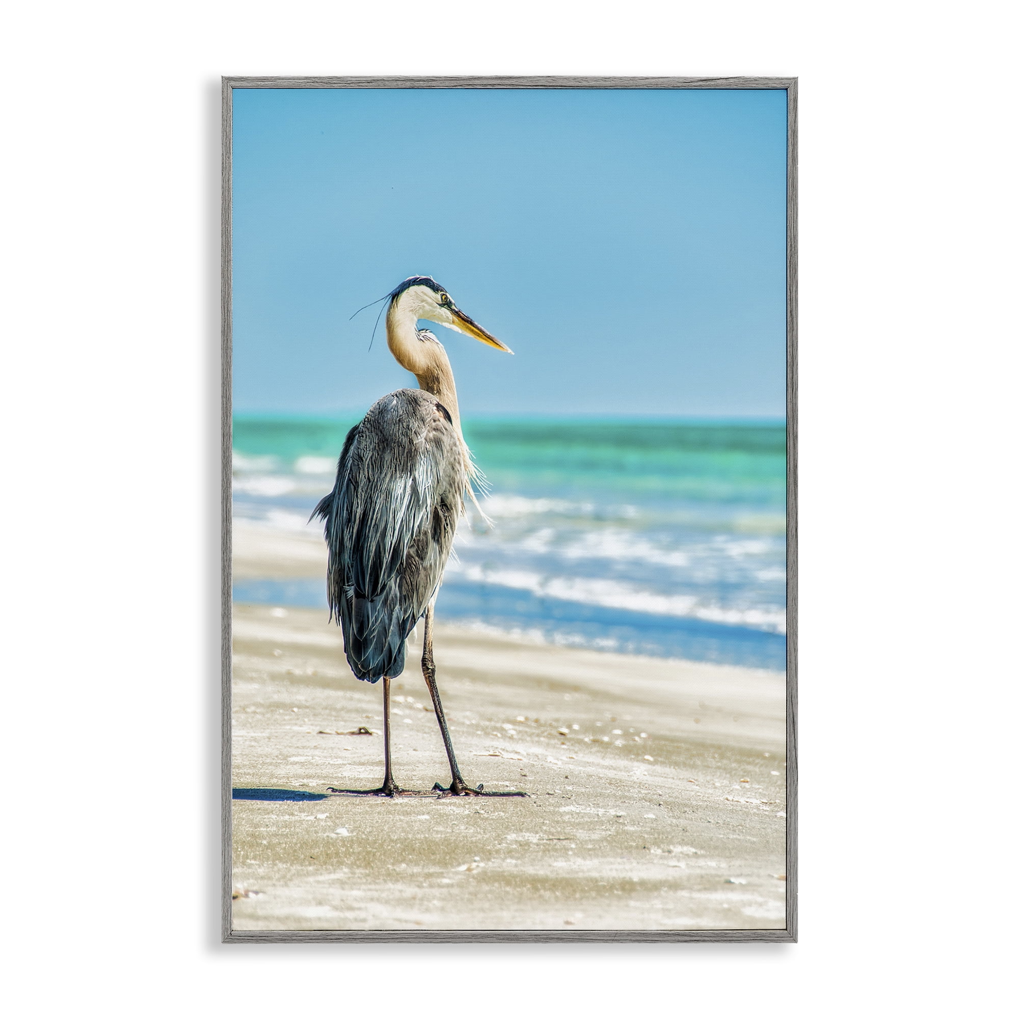 Stupell Industries Reflective Beach Bird Nautical & Beach Photography Gray Framed Art Print Wall Art, 12 x 18