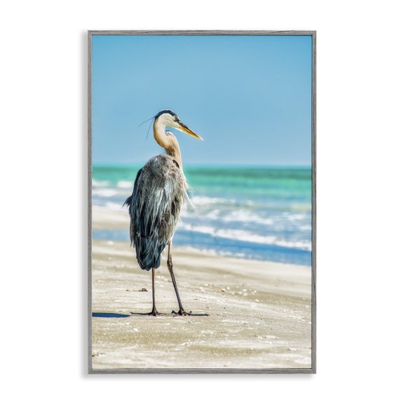 Stupell Industries Reflective Beach Bird Nautical & Beach Photography Gray Framed Art Print Wall Art, 20 x 30