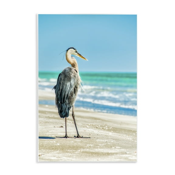 Stupell Industries Reflective Beach Bird Nautical & Beach Photography Unframed Art Print Wall Art, 10 x 15