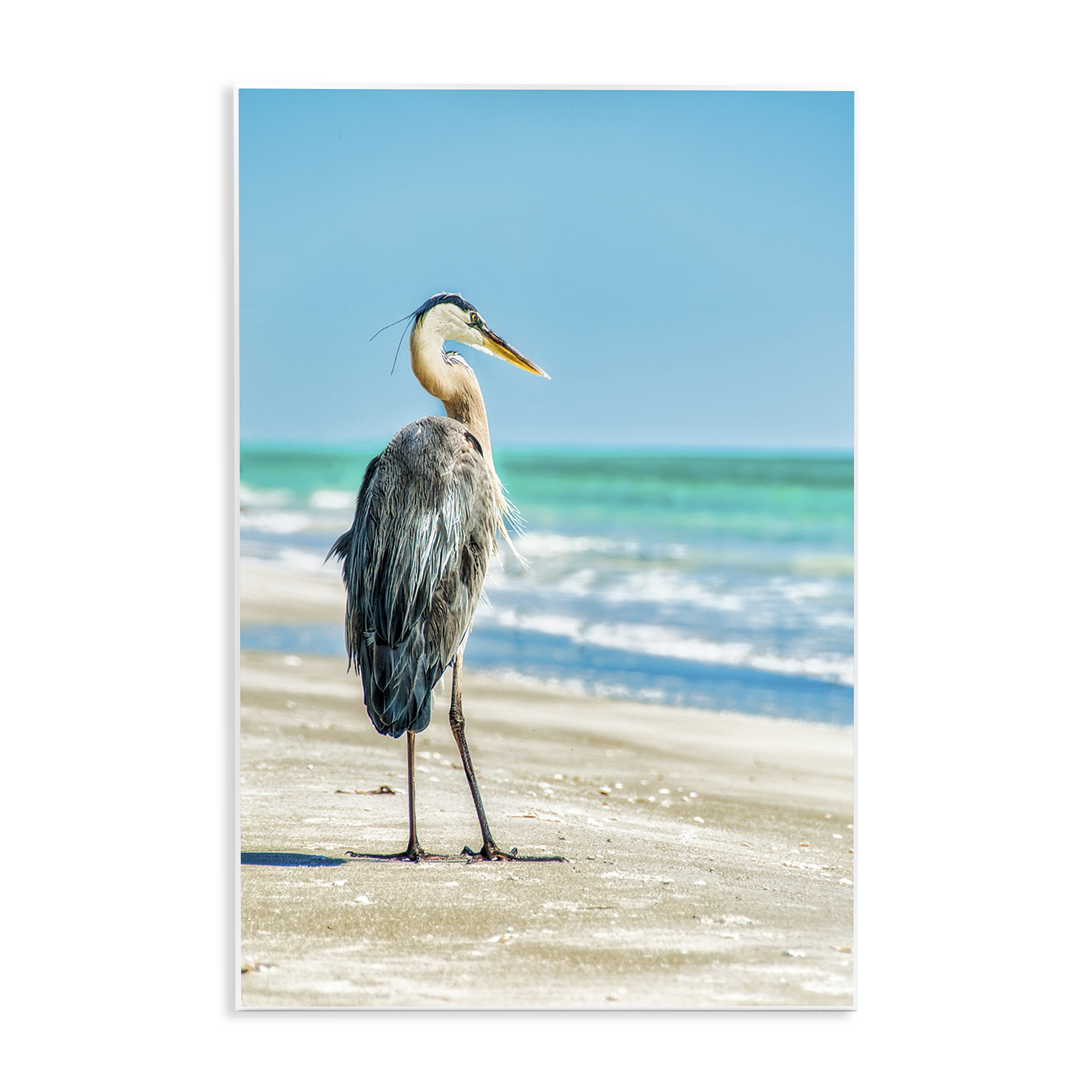 Stupell Industries Reflective Beach Bird Nautical & Beach Photography Unframed Art Print Wall Art, 13 x 19