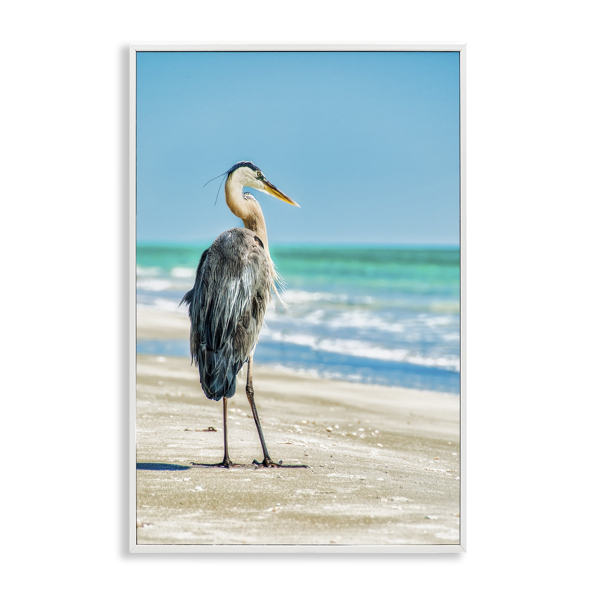 Stupell Industries Reflective Beach Bird Nautical & Beach Photography White Framed Art Print Wall Art, 12 x 18