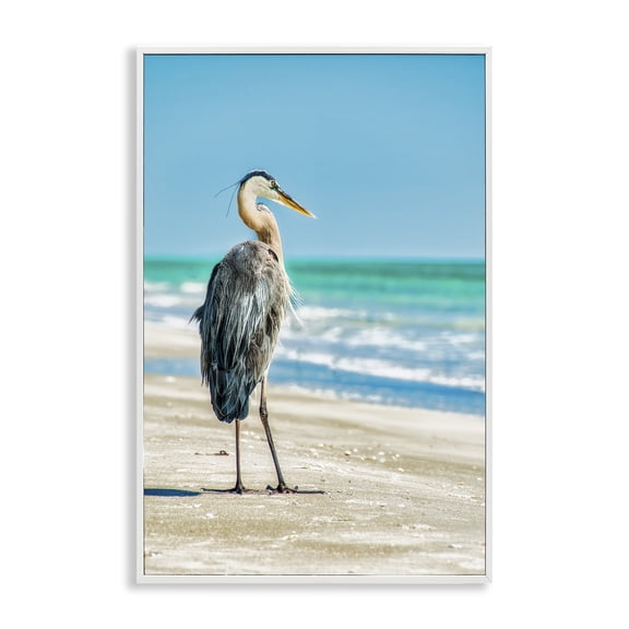 Stupell Industries Reflective Beach Bird Nautical & Beach Photography White Framed Art Print Wall Art, 12 x 18