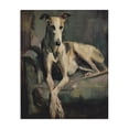 thumbnail image 1 of Stupell Industries Eclectic Regal Comfort Whippet Dog Canvas Art, 16 x 20, by Svetlana Aleynikova, 1 of 8