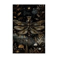 thumbnail image 1 of Stupell Industries Art Deco Regal Gilded Dragonfly Canvas Art, 24 x 36, by The Dutch Lady, 1 of 8