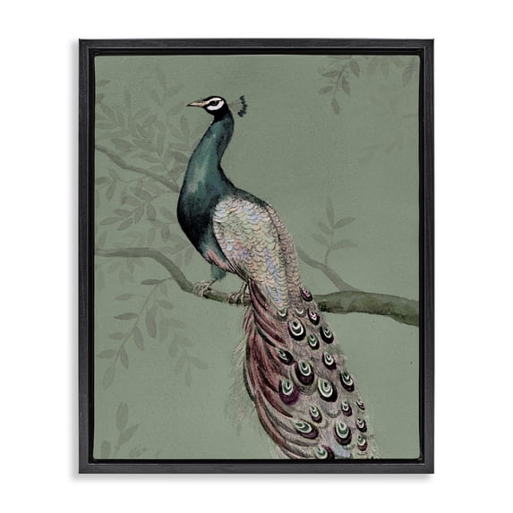 Stupell Industries Regal Peacock on Branch Animals Painting Black Floater Framed Canvas Art Print Wall Art, 17 x 21