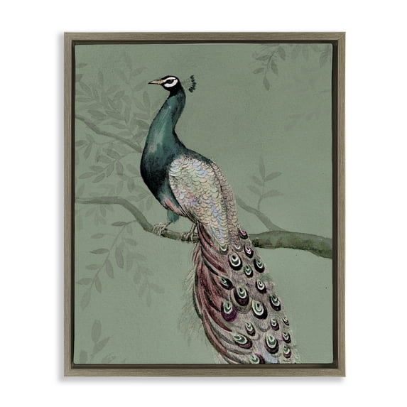 Stupell Industries Regal Peacock on Branch Animals Painting Brown Floater Framed Canvas Art Print Wall Art, 17 x 21