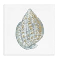 thumbnail image 1 of Stupell Industries Rustic Lodge Regal Shells Spiral Canvas Art, 17 x 17, by Lorenzo Collective, 1 of 8