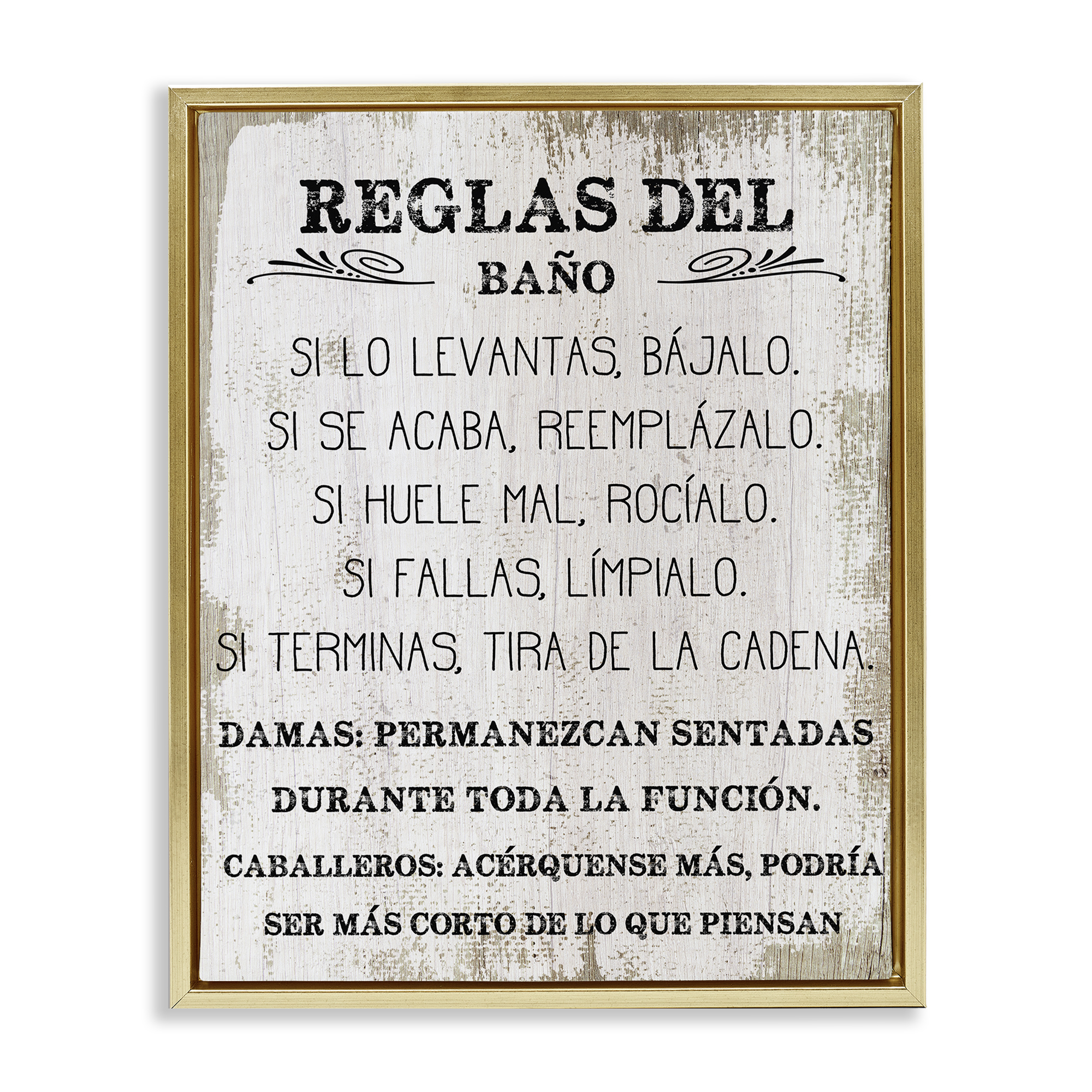 Stupell Industries Reglas Divertidas del Baño Bath & Laundry Painting Gold Floater Framed Art Print Wall Art, 17 x 21