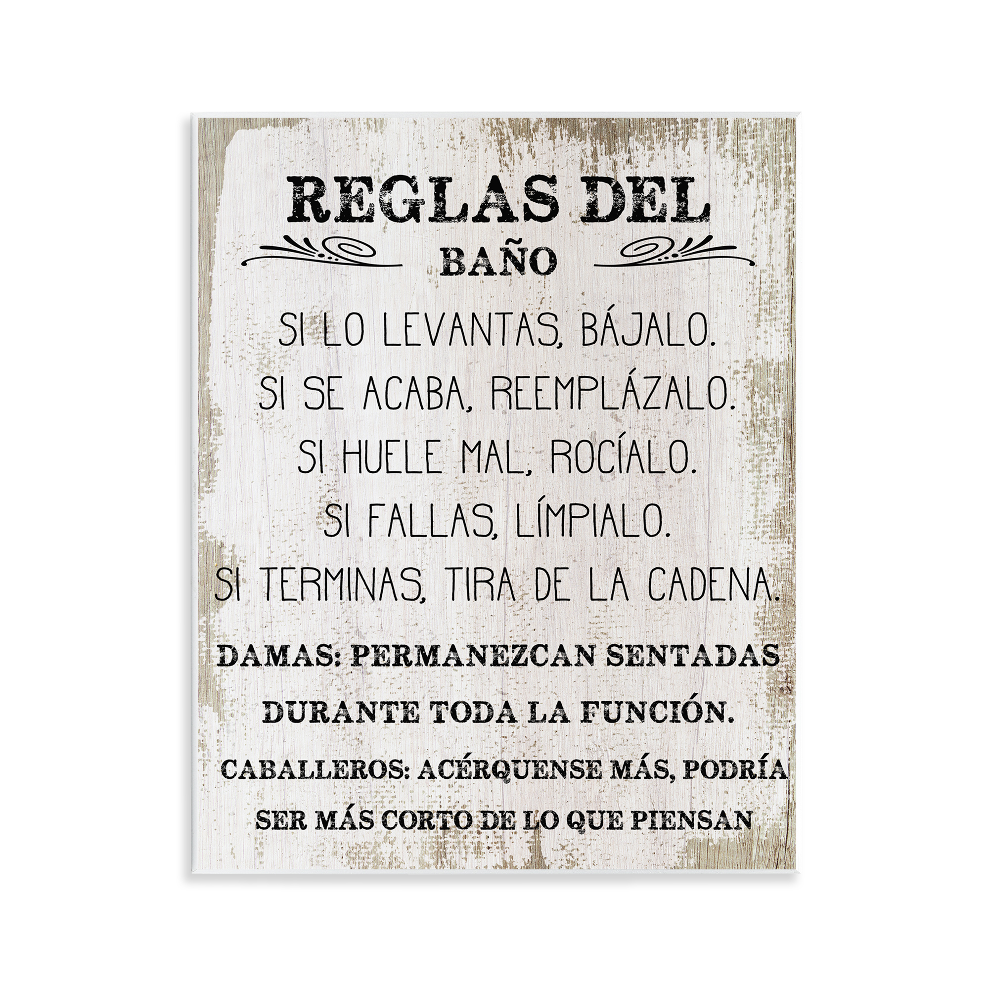 Stupell Industries Reglas Divertidas del Baño Bath & Laundry Painting Unframed Art Print Wall Art, 11 x 14