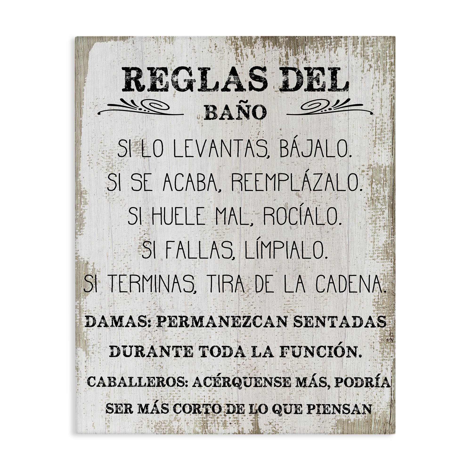 Stupell Industries Reglas Divertidas del Baño Bath & Laundry Painting Wrapped Canvas Art Print Wall Art, 30 x 40