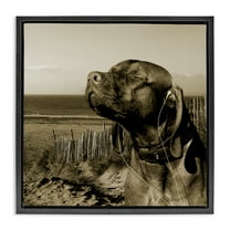 Stupell Industries Relaxed Dog with Music Animals & Insects Photography Black Floater Framed Canvas Art Print Wall Art, 18 x 18