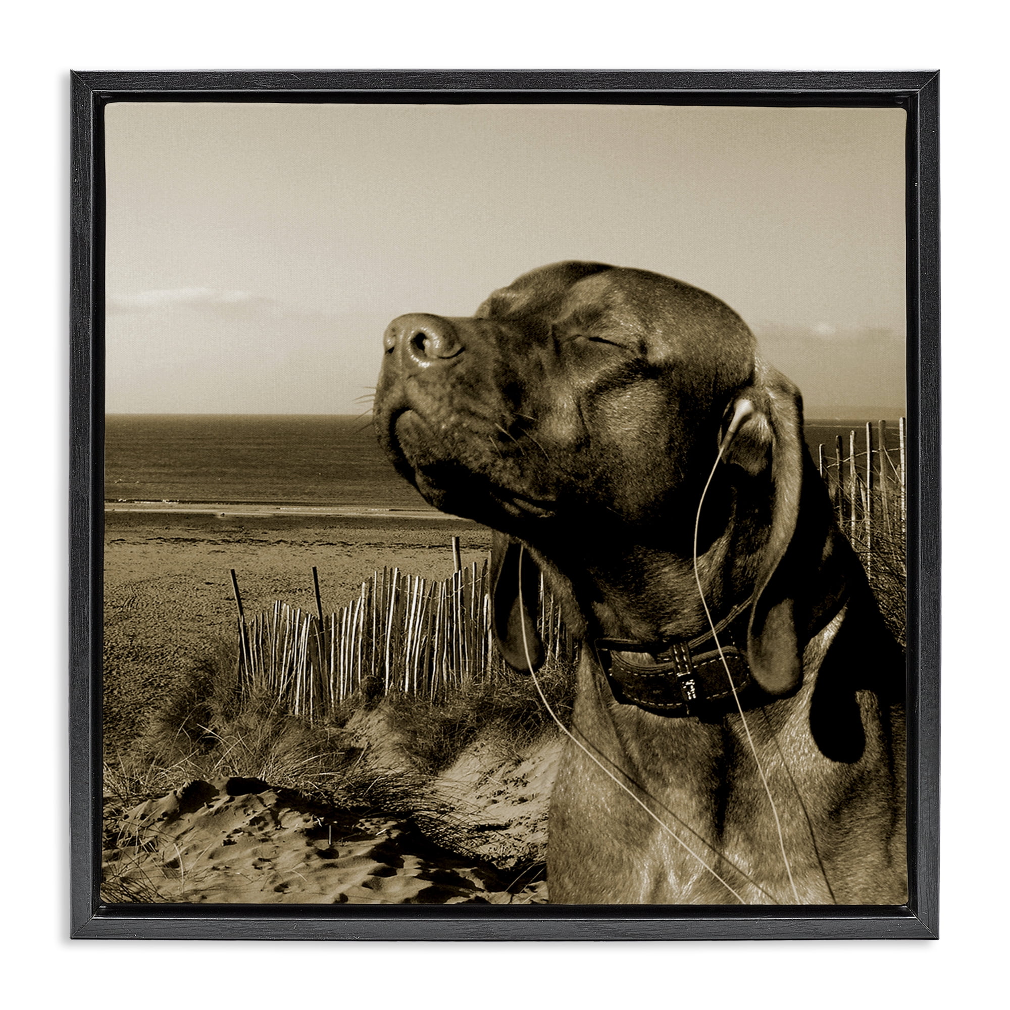 Stupell Industries Relaxed Dog with Music Animals & Insects Photography Black Floater Framed Canvas Art Print Wall Art, 25 x 25