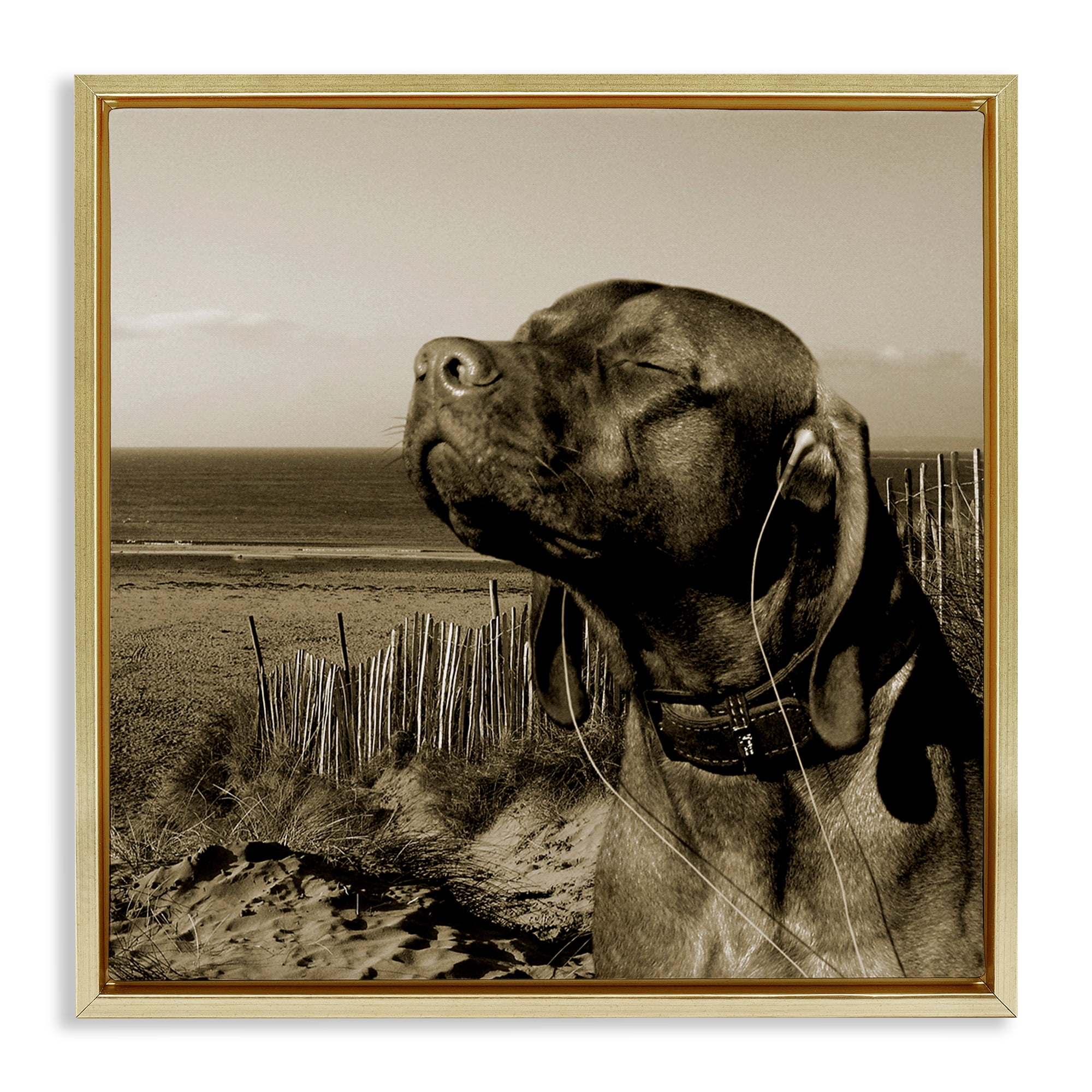 Stupell Industries Relaxed Dog with Music Animals & Insects Photography Gold Floater Framed Canvas Art Print Wall Art, 25 x 25