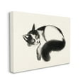 thumbnail image 1 of Stupell Industries Relaxed Pet Cat Bushy Black Tail Canvas Wall Art by Grace Popp, 1 of 6