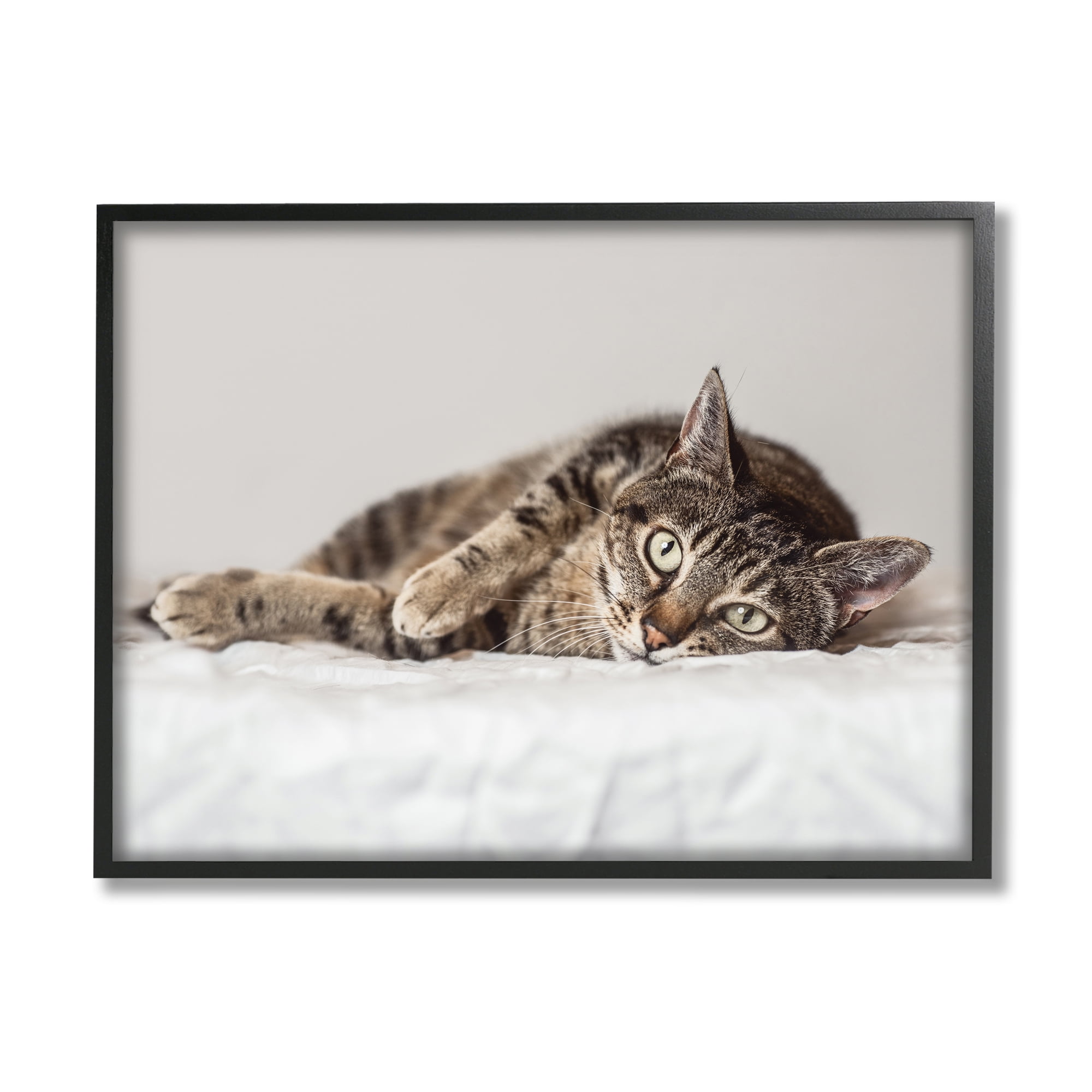 Stupell Industries Relaxed Pet Feline Cat Nap Green Eyes,16 x 20,Designed by Marika Moffit