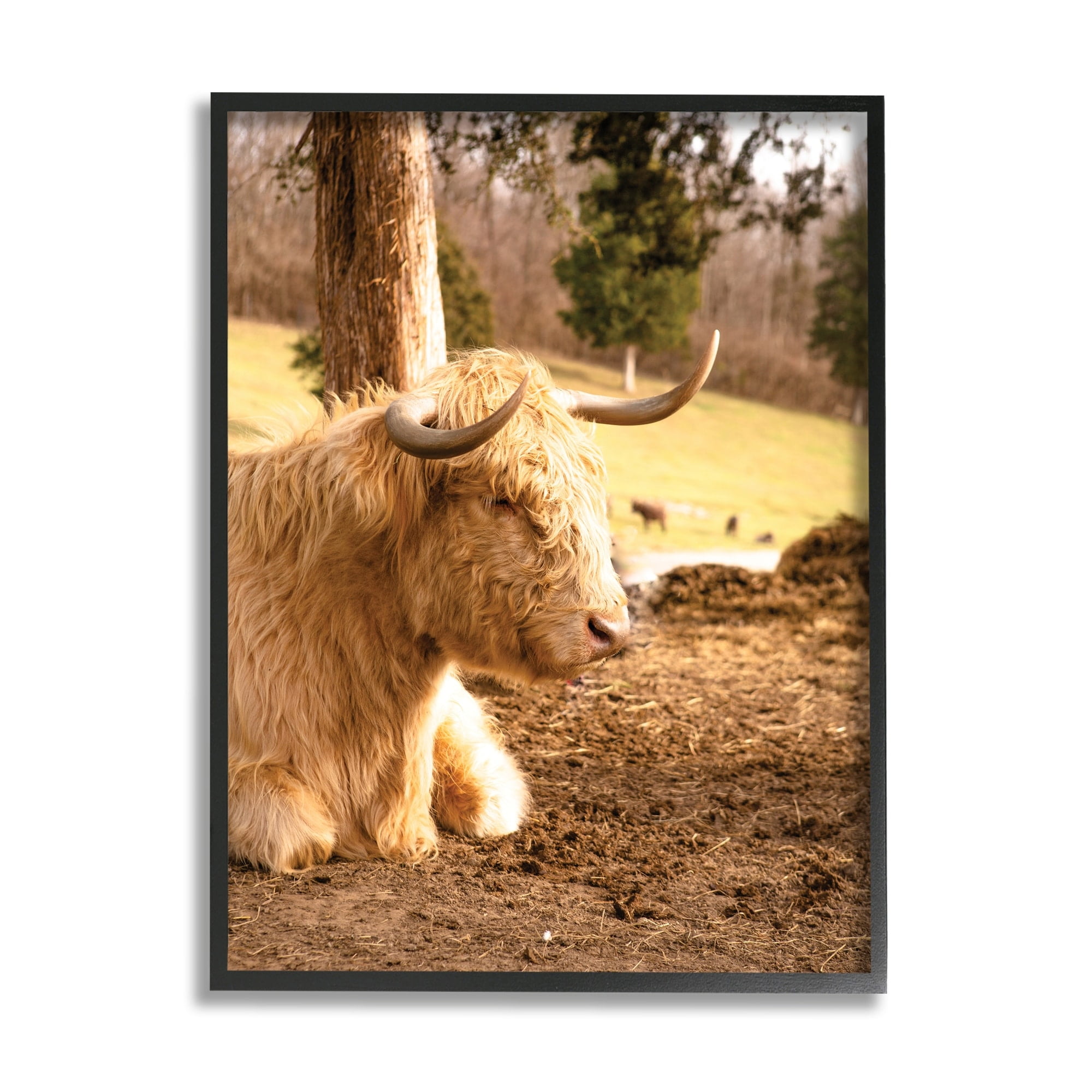 Stupell Industries Relaxing Cattle Lying Beneath Tree Grazing Farmland Meadow Photograph Black Framed Art Print Wall Art, Design by Donnie Quillen