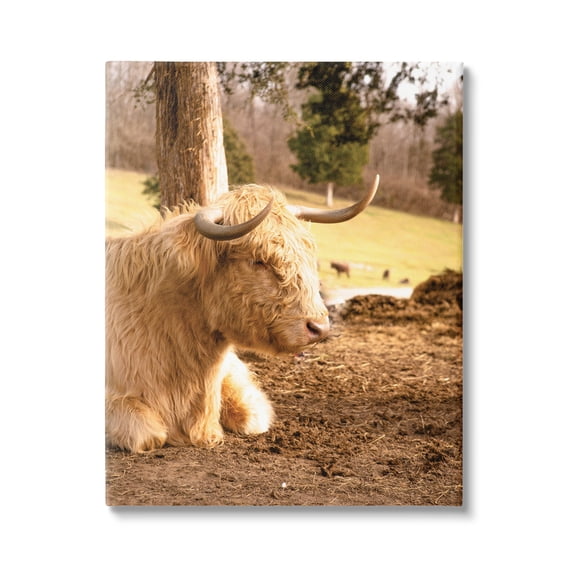 Stupell Industries Relaxing Cattle Lying Beneath Tree Grazing Farmland Meadow Photograph Gallery Wrapped Canvas Print Wall Art, Design by Donnie Quillen