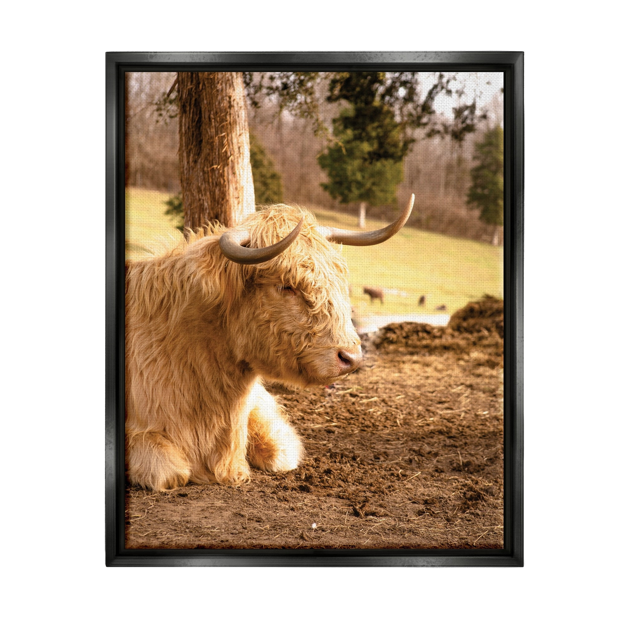 Stupell Industries Relaxing Cattle Lying Beneath Tree Grazing Farmland Meadow Photograph Jet Black Floating Framed Canvas Print Wall Art, Design by Donnie Quillen