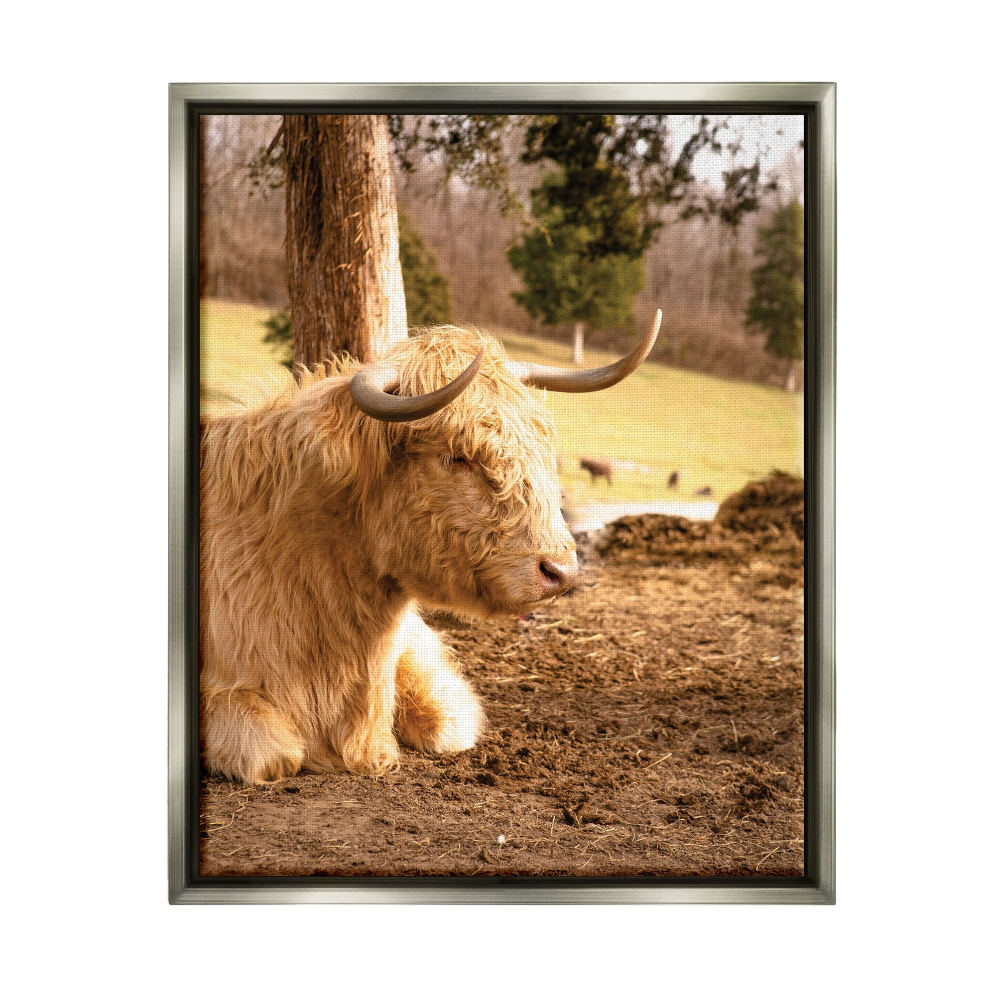 Stupell Industries Relaxing Cattle Lying Beneath Tree Grazing Farmland Meadow Photograph Luster Gray Floating Framed Canvas Print Wall Art, Design by Donnie Quillen