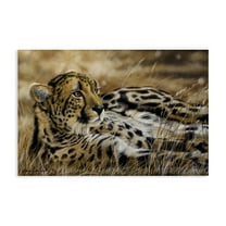 Stupell Industries Relaxing Leopard Scenery Animals & Insects Painting Gallery Wrapped Canvas Art Print Wall Art, 24 x 16
