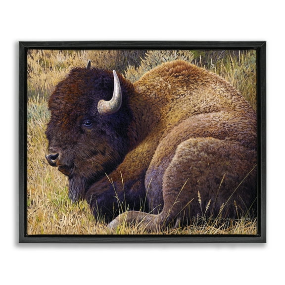 Stupell Industries Relaxing Young Bison Animals Painting Black Floater Framed Canvas Art Print Wall Art, 21 x 17