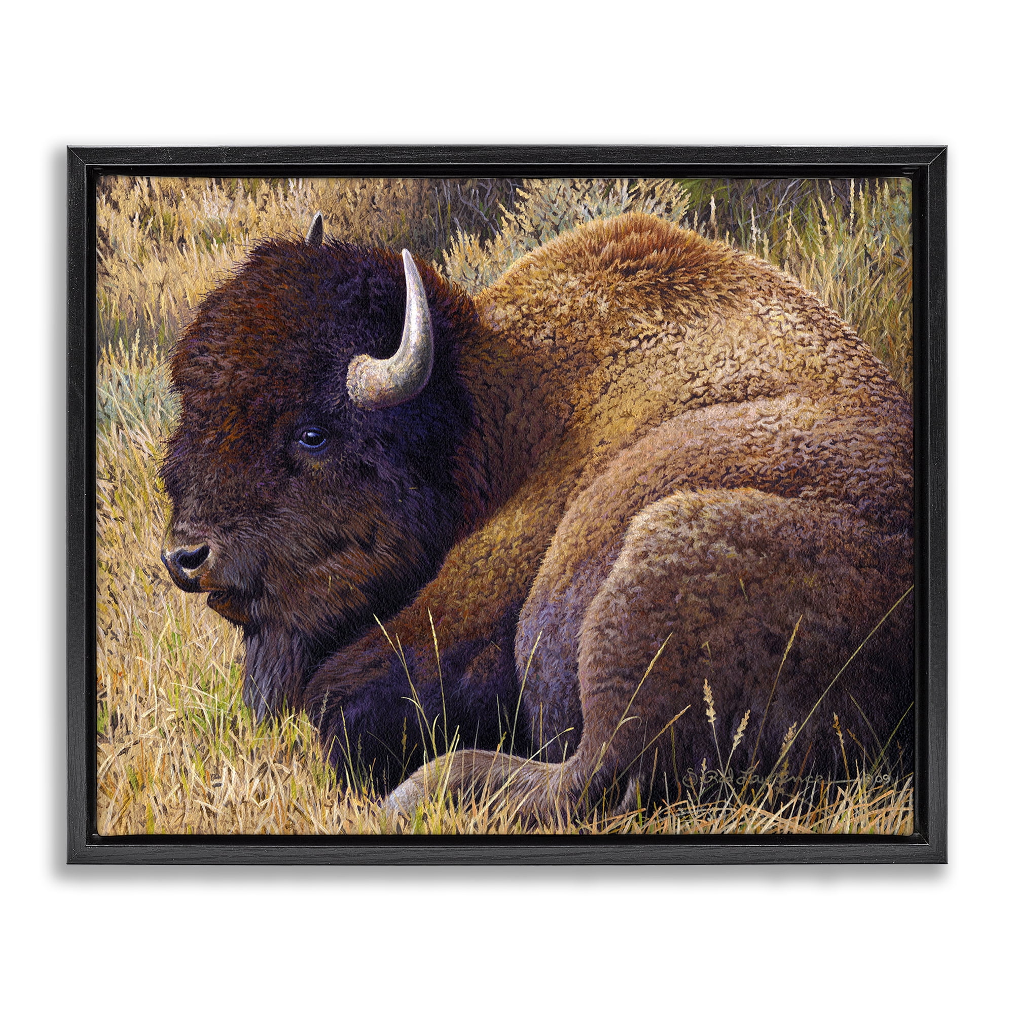 Stupell Industries Relaxing Young Bison Animals Painting Black Floater Framed Canvas Art Print Wall Art, 31 x 25