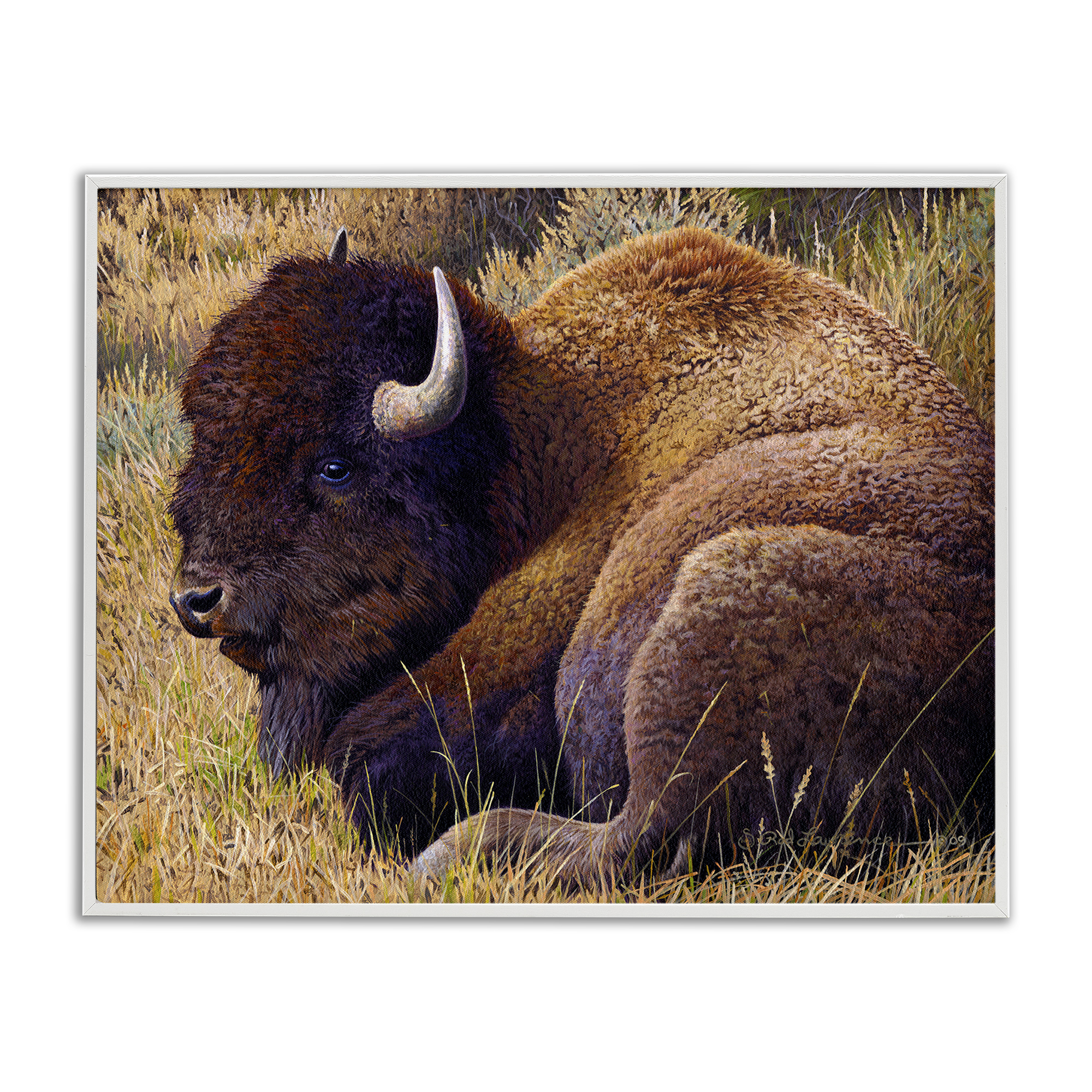 Stupell Industries Relaxing Young Bison Animals Painting White Framed Art Print Wall Art, 14 x 11