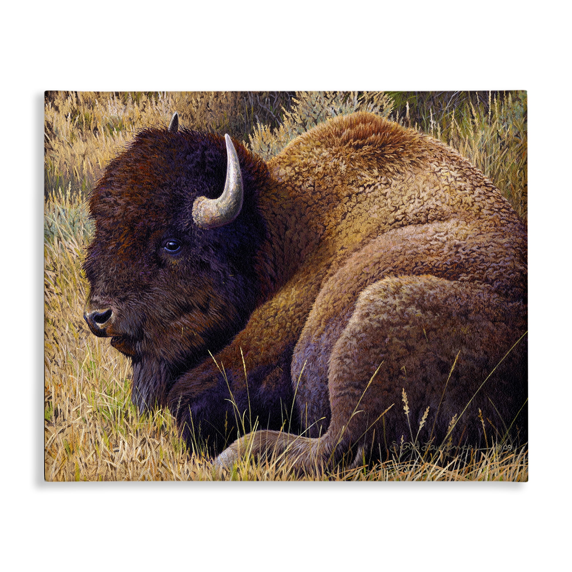 Stupell Industries Relaxing Young Bison Animals Painting Wrapped Canvas Art Print Wall Art, 40 x 30