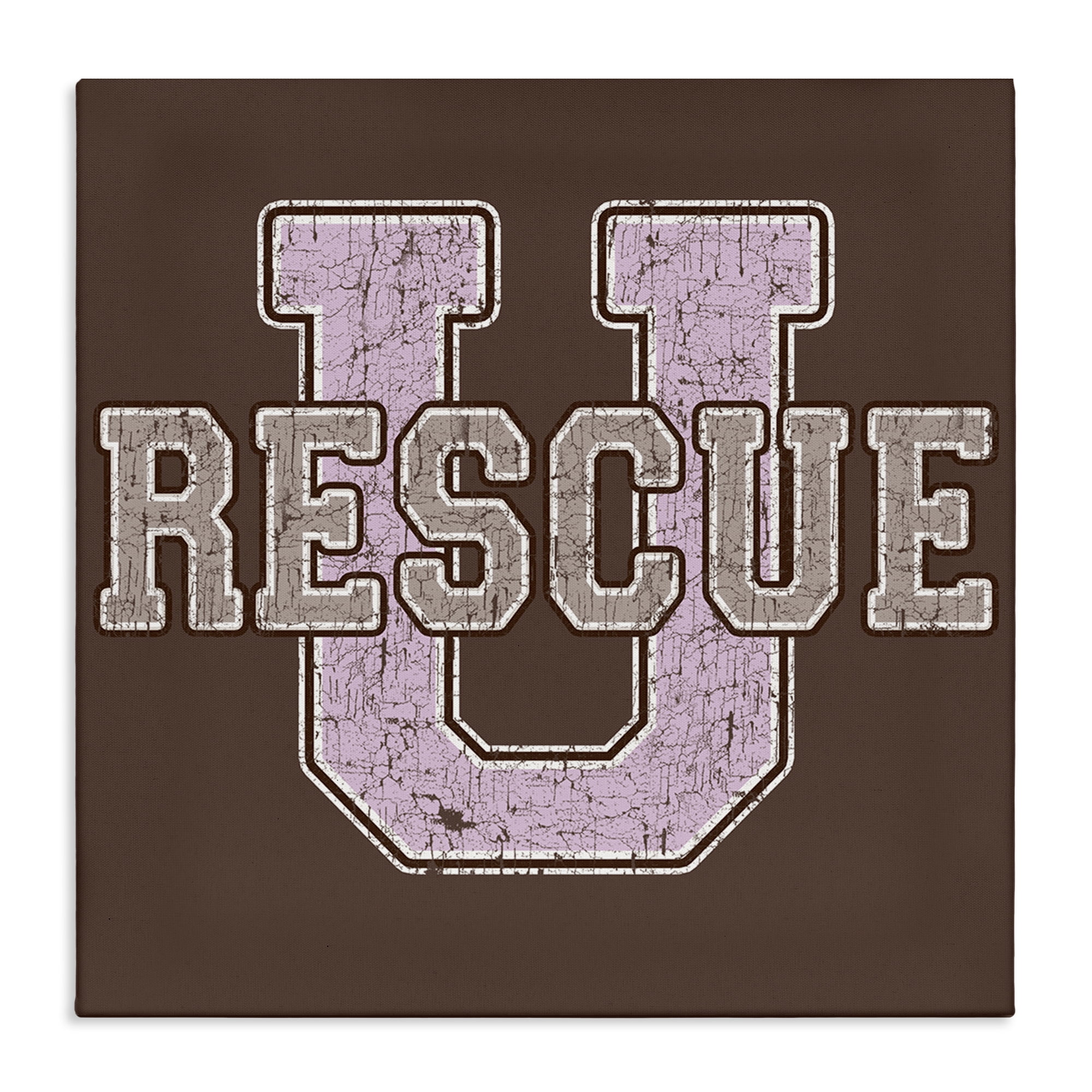 Stupell Industries Rescue U Vintage College Animals Painting Wrapped Canvas Art Print Wall Art, 17 x 17