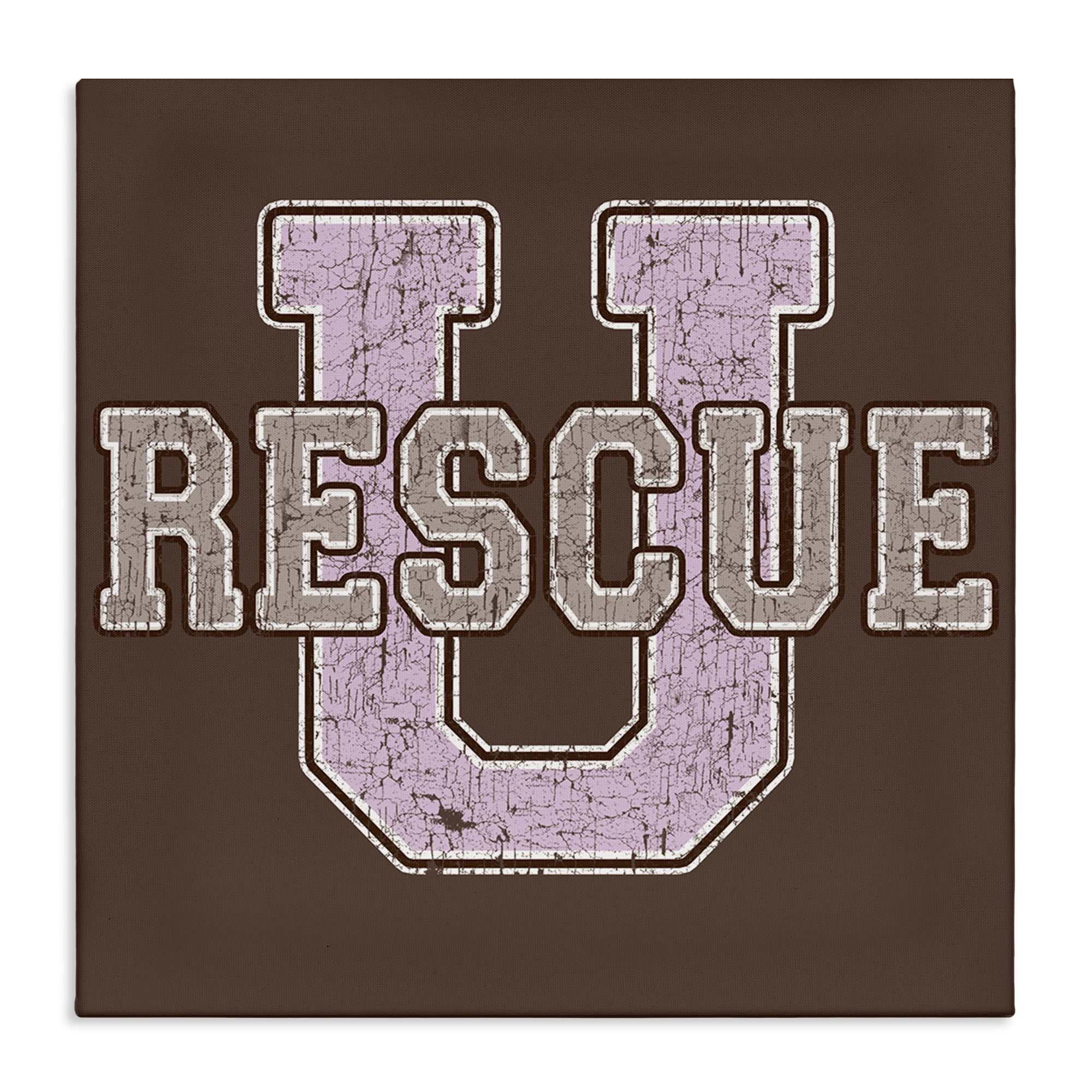 Stupell Industries Rescue U Vintage College Animals Painting Wrapped Canvas Art Print Wall Art, 24 x 24