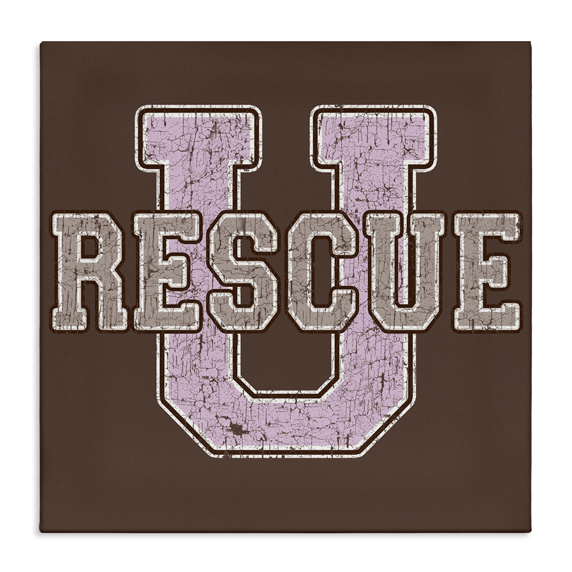 Stupell Industries Rescue U Vintage College Animals Painting Wrapped Canvas Art Print Wall Art, 36 x 36