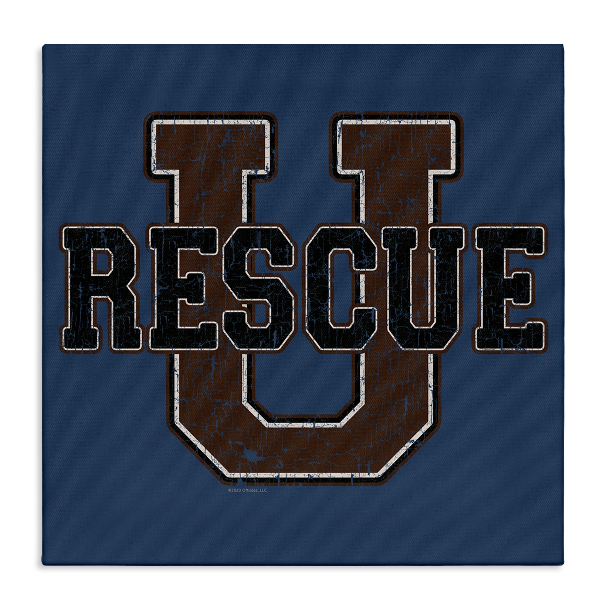 Stupell Industries Rescue U Vintage Varsity Novelty & Humor Painting Wrapped Canvas Art Print Wall Art, 24 x 24