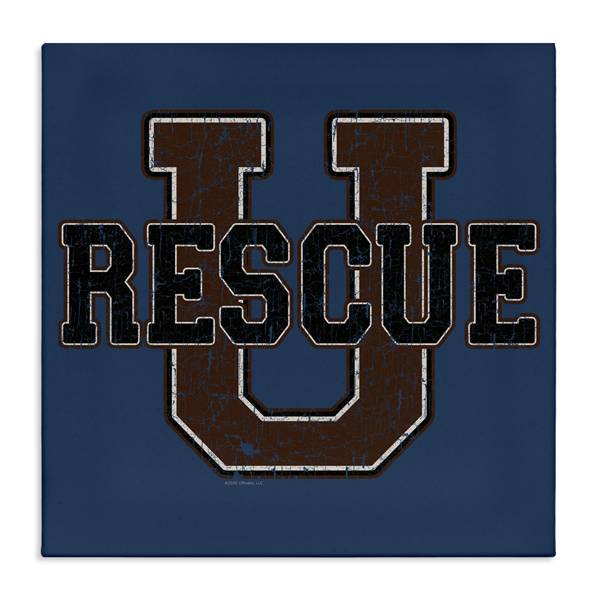 Stupell Industries Rescue U Vintage Varsity Novelty & Humor Painting Wrapped Canvas Art Print Wall Art, 30 x 30