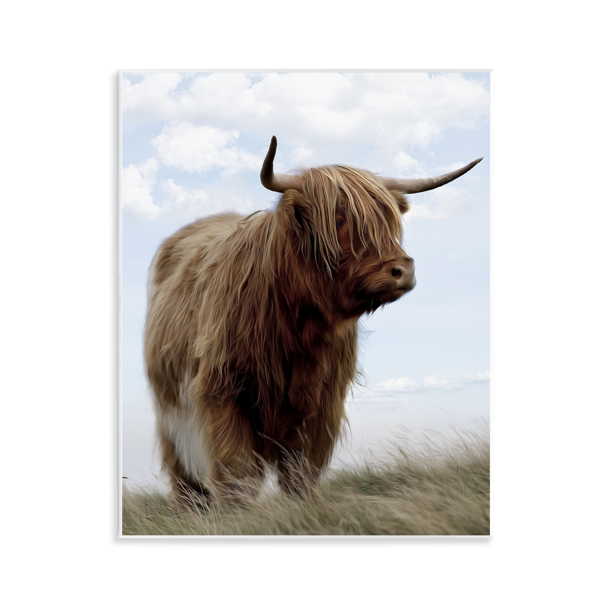 Stupell Industries Restful Look Highland Cattle Wall Plaque Art, design by Marcus Prime