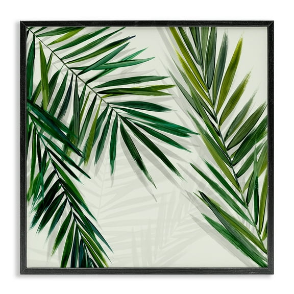 Stupell Industries Restful Palms with Shadows Plants & Flowers Painting Black Framed Art Print Wall Art, 12 x 12